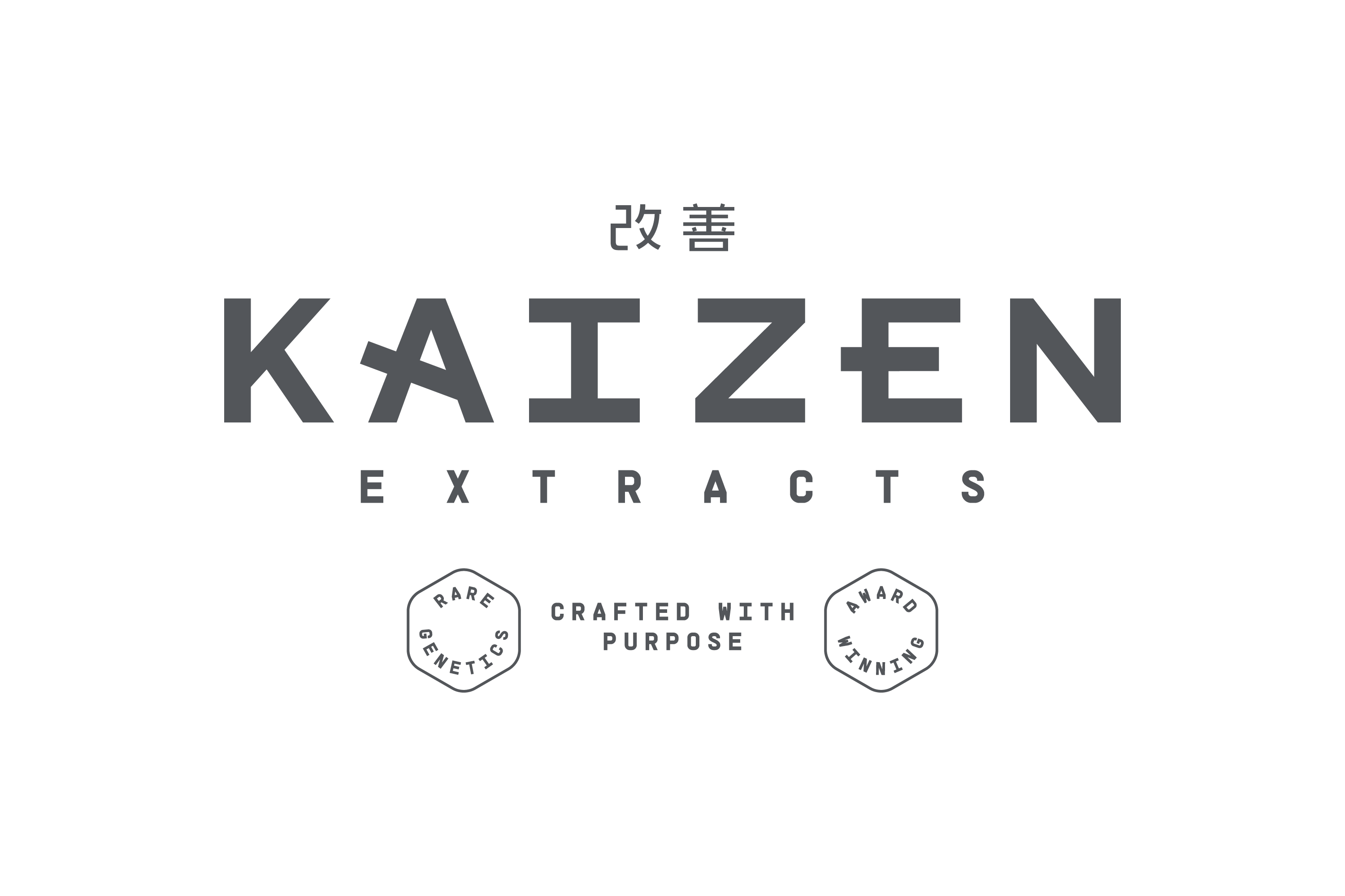 kaizen
